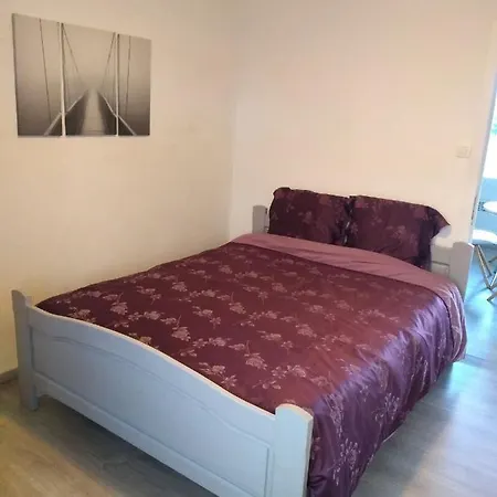 Joy Lotus 105 デ ハーン