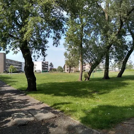 Joy Lotus 105 アパート