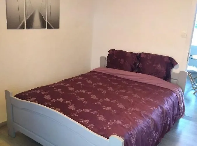 Joy Lotus 105 De Haan