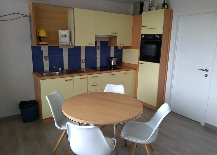 Appartement Joy Lotus 105 De Haan