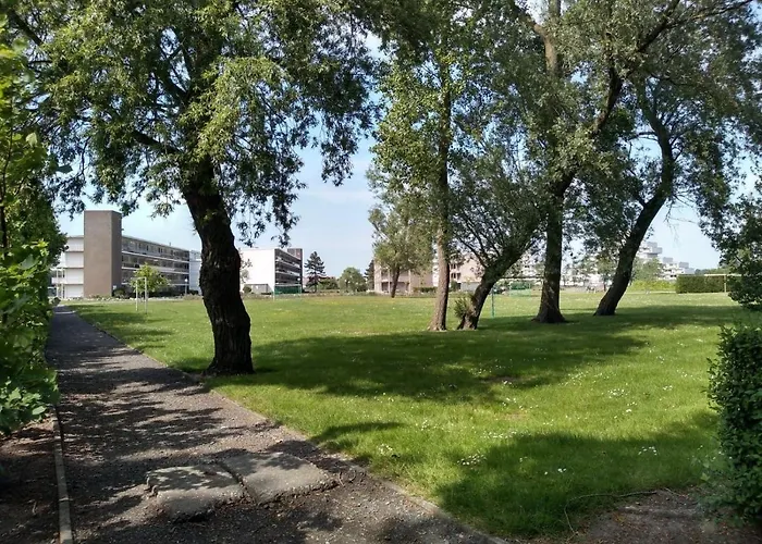 Joy Lotus 105 Appartement